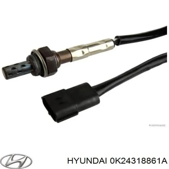 0K24318861A Hyundai/Kia 