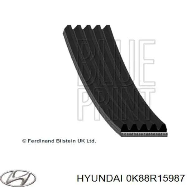 DV5PK1697 Japan Parts correa trapezoidal