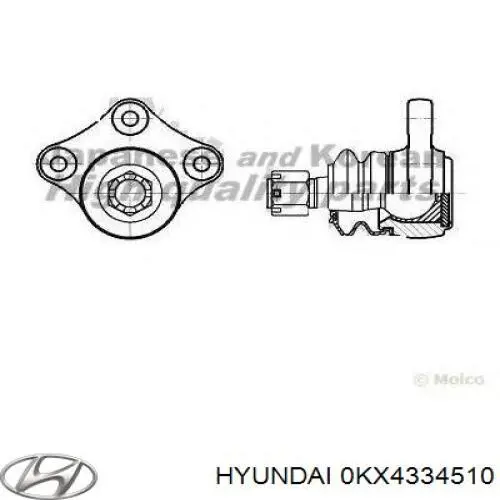 0KX4334510 Hyundai/Kia rótula de suspensión inferior