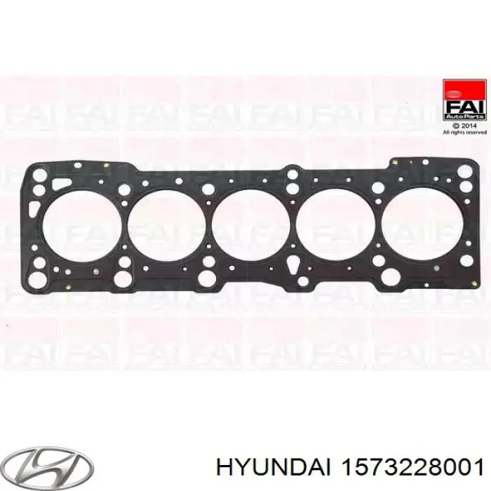 1573228001 Hyundai/Kia tapón de culata