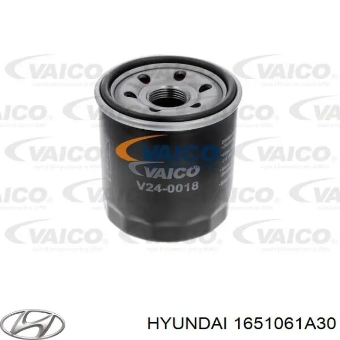 1651061A30 Hyundai/Kia filtro de aceite