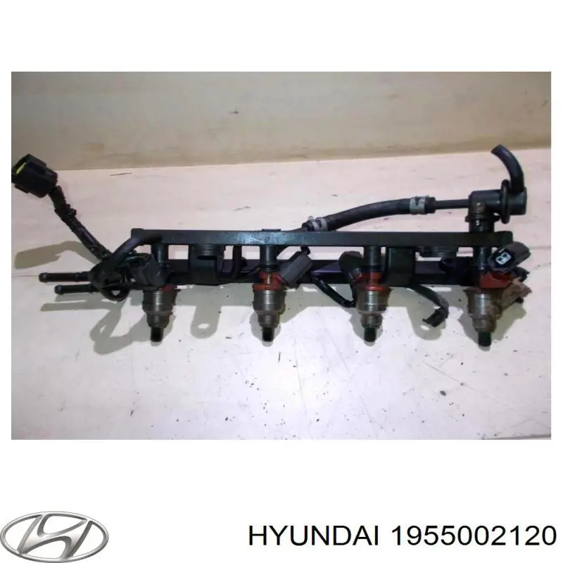 1955002120 Hyundai/Kia 