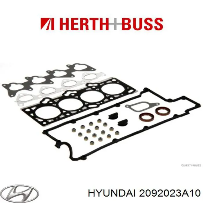 2092023A10 Hyundai/Kia 