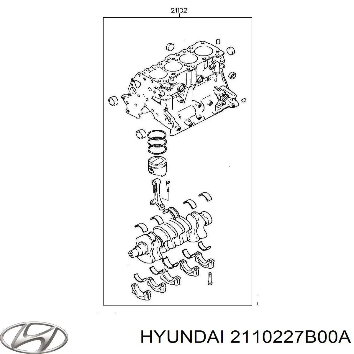 2110227A00 Hyundai/Kia motor completo