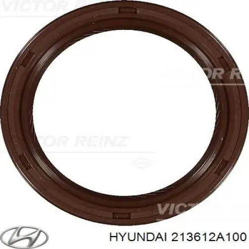  Anillo retén, cigüeñal frontal para Hyundai Matrix FC