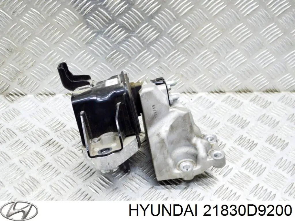 21830D9200 Hyundai/Kia 