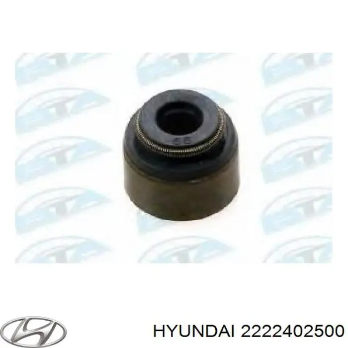 2222402500 Hyundai/Kia sello de aceite de valvula (rascador de aceite Entrada/Salida)