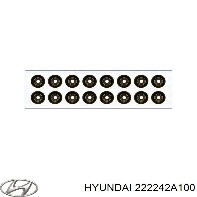 222242A100 Hyundai/Kia sello de aceite de valvula (rascador de aceite Entrada/Salida)