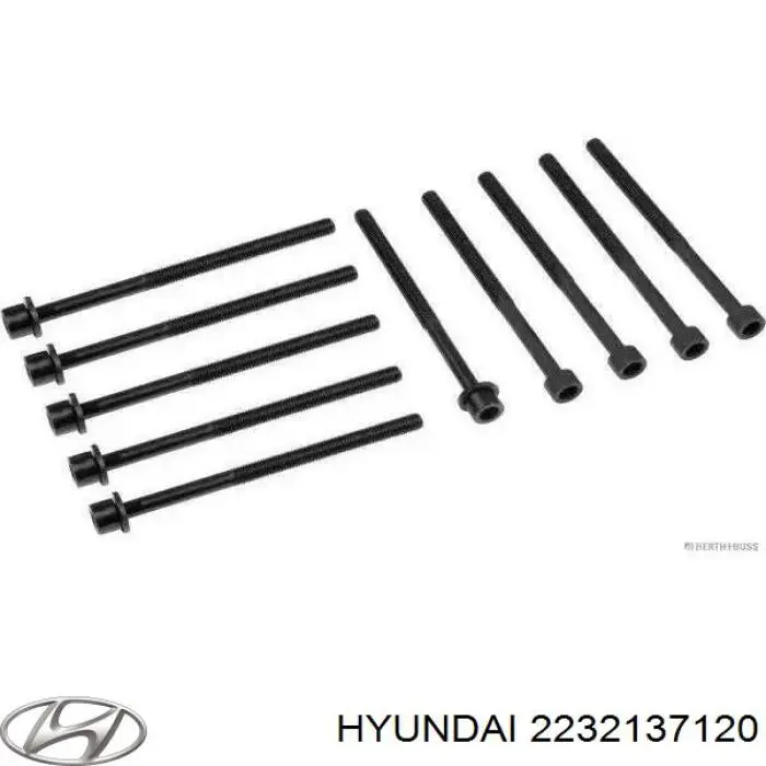 2232137120 Hyundai/Kia tornillo de culata