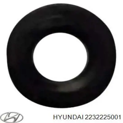 2232225001 Hyundai/Kia 