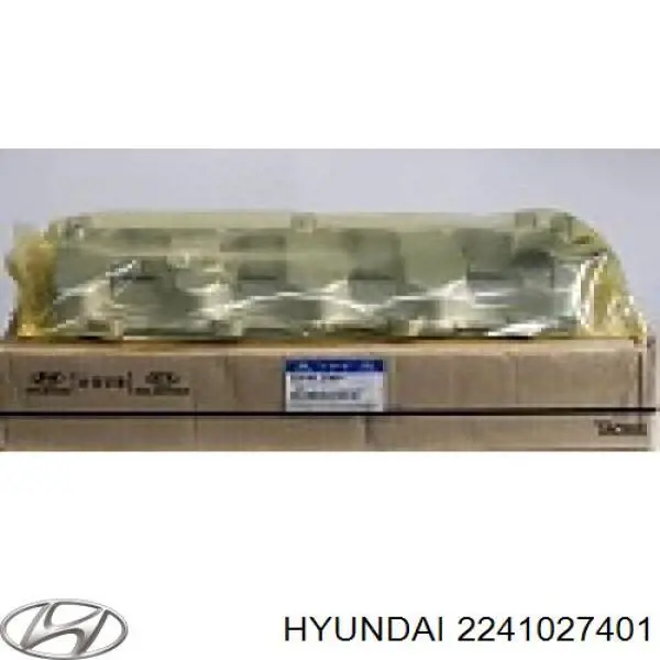  Tapa de culata para Hyundai Trajet FO