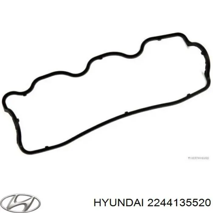 2244135520 Hyundai/Kia junta de la tapa de válvulas del motor