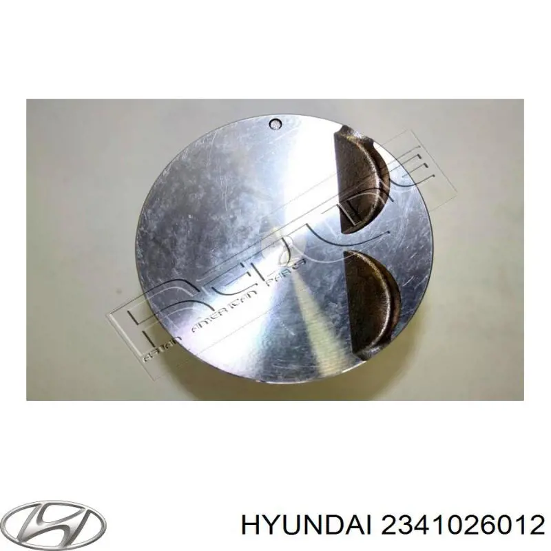 2341026012 Hyundai/Kia pistón completo para 1 cilindro, std