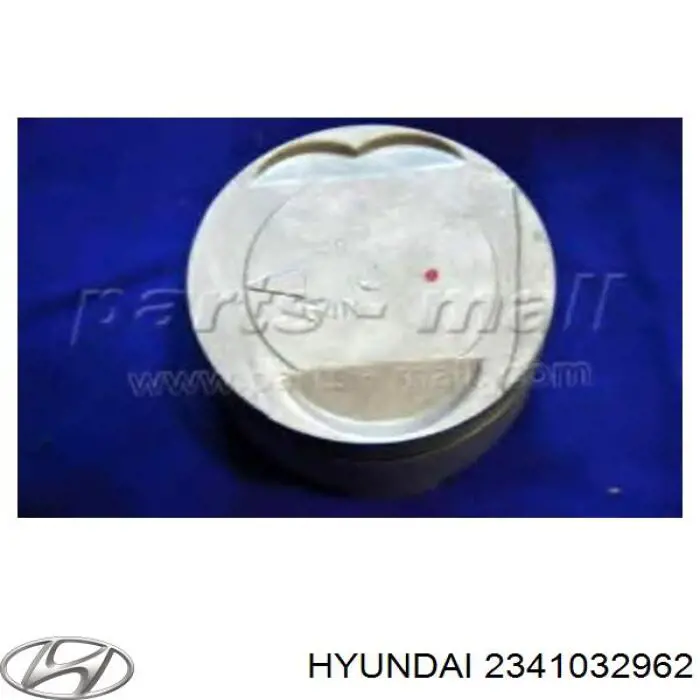 2341032991 Hyundai/Kia 