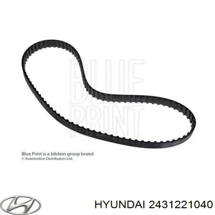 2431221040 Hyundai/Kia correa distribucion