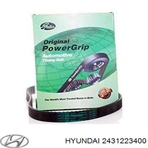 2431223400 Hyundai/Kia correa distribucion