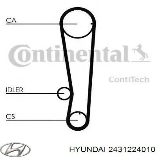 2431224010 Hyundai/Kia correa distribucion