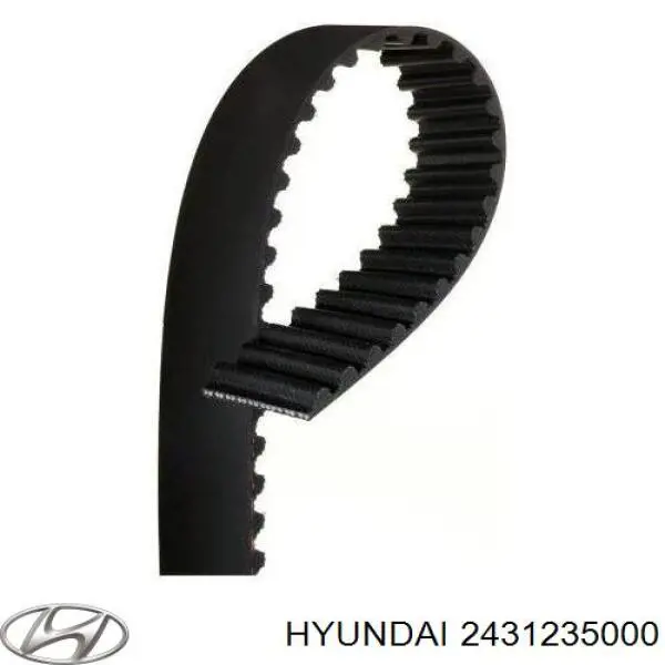 2431235000 Hyundai/Kia correa distribucion