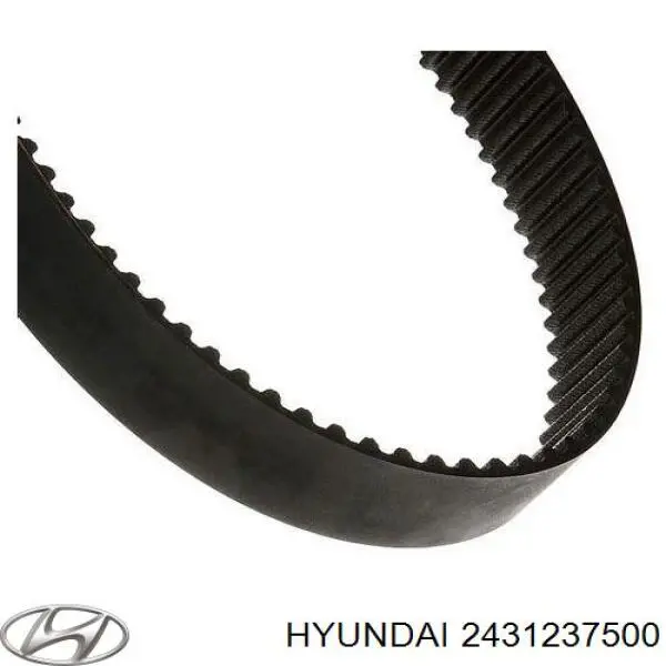 2431237500 Hyundai/Kia correa distribucion