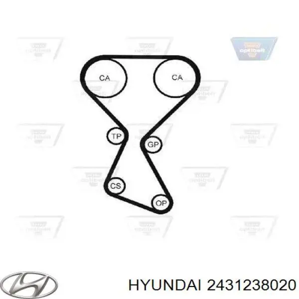 2431238020 Hyundai/Kia correa distribucion