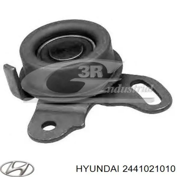 2441021010 Hyundai/Kia rodillo, cadena de distribución