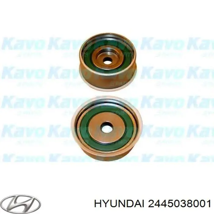 2445038001 Hyundai/Kia rodillo, cadena de distribución