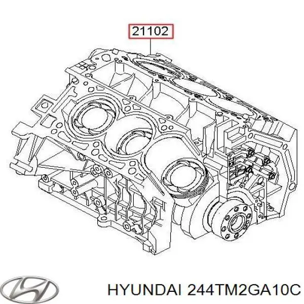 244TM2GA10C Hyundai/Kia 