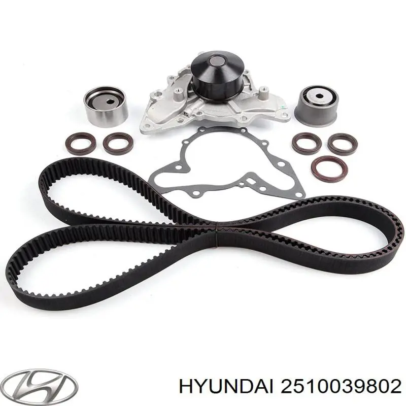 2510039802 Hyundai/Kia bomba de agua