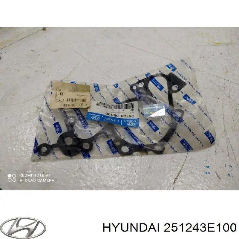 251243E100 Hyundai/Kia junta, bomba de agua