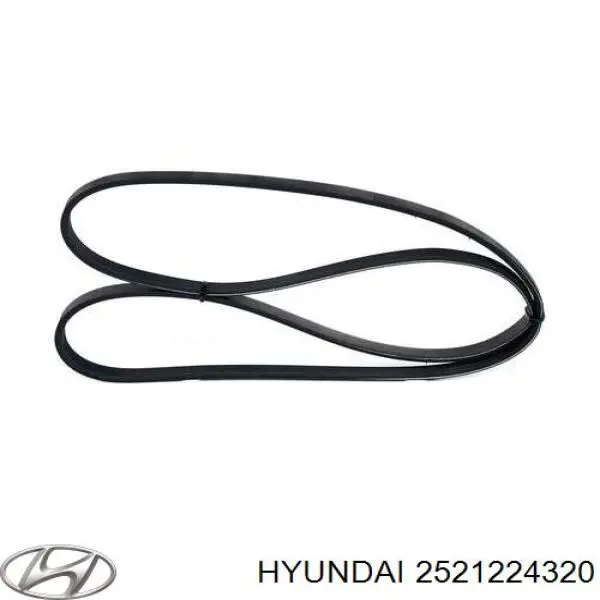 2521224320 Hyundai/Kia 