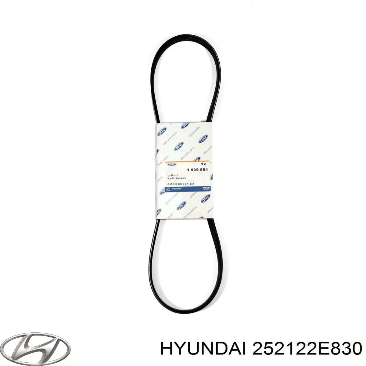 252122E830 Hyundai/Kia correa trapezoidal