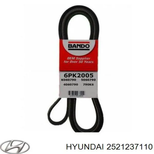 2521237110 Hyundai/Kia correa trapezoidal