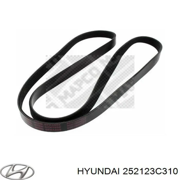 252123C310 Hyundai/Kia 