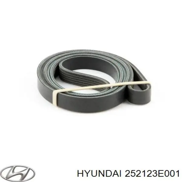 252123E001 Hyundai/Kia correa trapezoidal