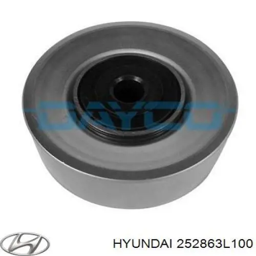 252863L100 Hyundai/Kia 