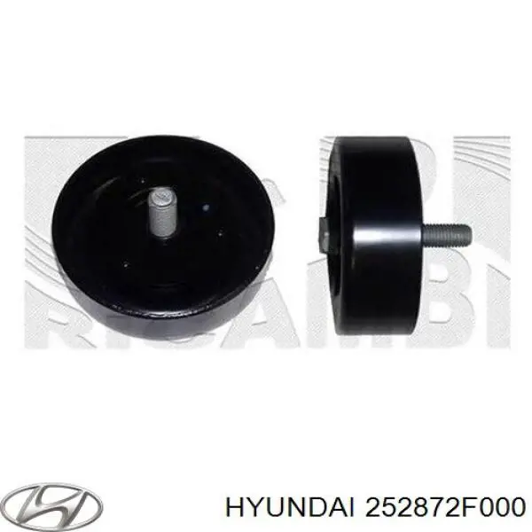 252872F000 Hyundai/Kia rodillo intermedio de correa dentada