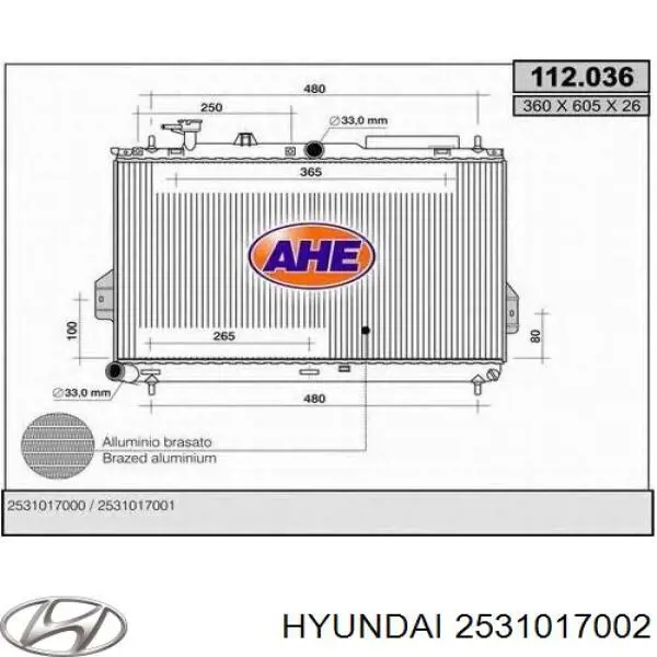 2531017002 Hyundai/Kia radiador refrigeración del motor