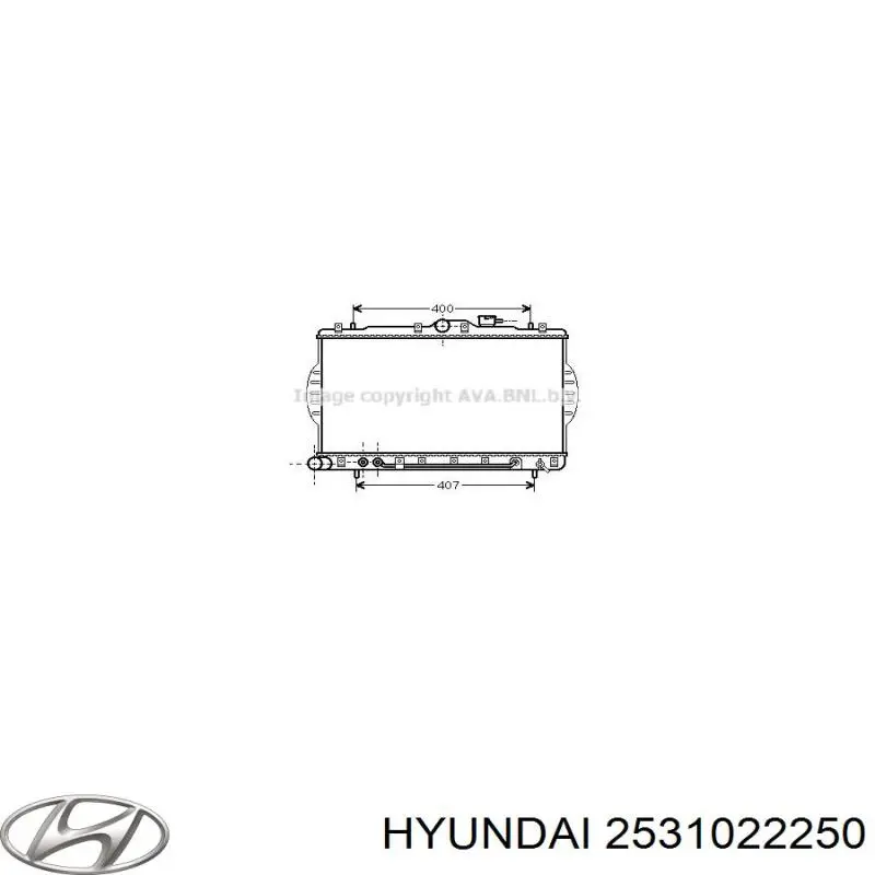 2531022250 Hyundai/Kia radiador refrigeración del motor