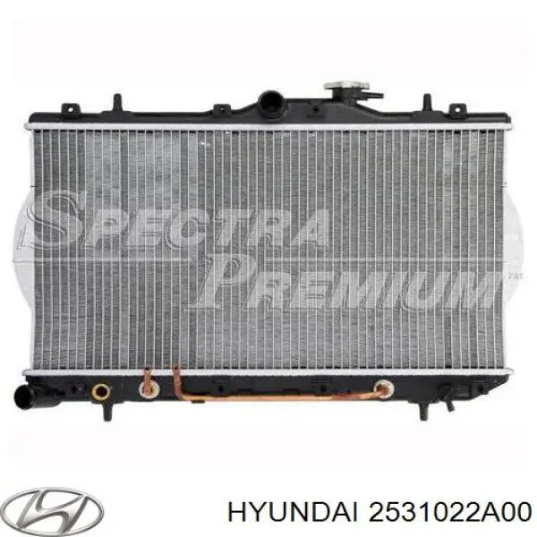 2531022A00 Hyundai/Kia radiador refrigeración del motor