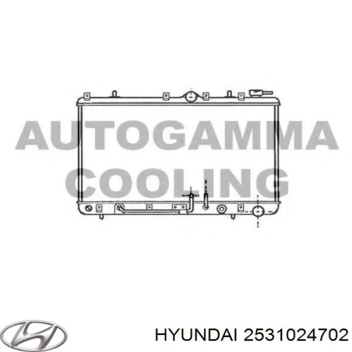 2531024702 Hyundai/Kia radiador refrigeración del motor