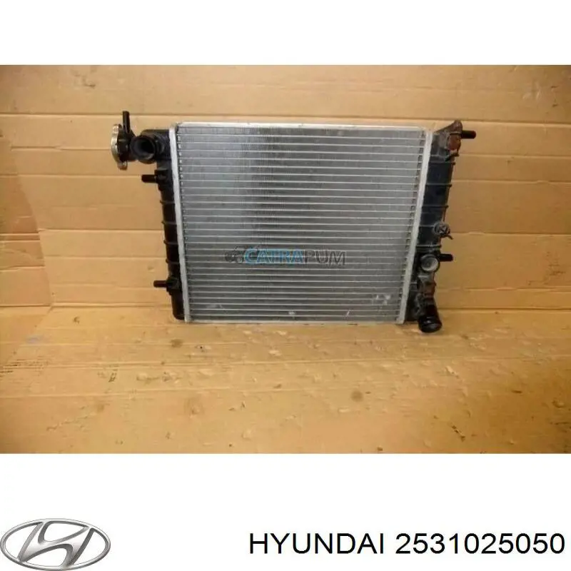 2531025050 Hyundai/Kia radiador refrigeración del motor