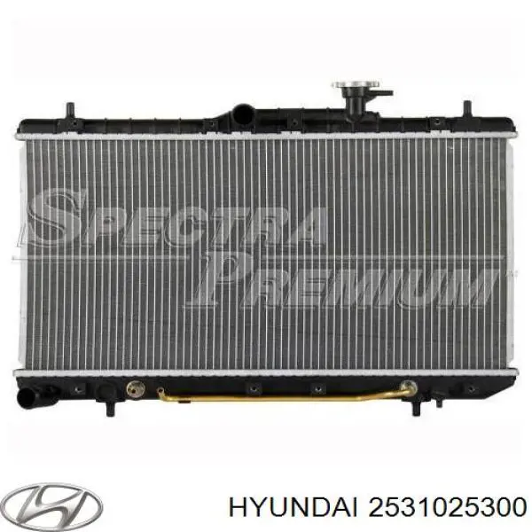 2531025300 Hyundai/Kia radiador refrigeración del motor