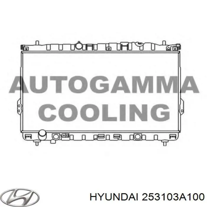  Radiador refrigeración del motor para Hyundai Trajet FO