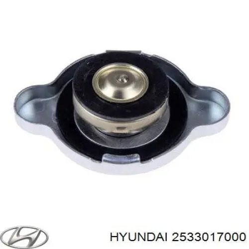 2533017000 Hyundai/Kia tapa de radiador