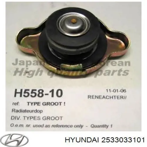 2533033101 Hyundai/Kia tapa de radiador