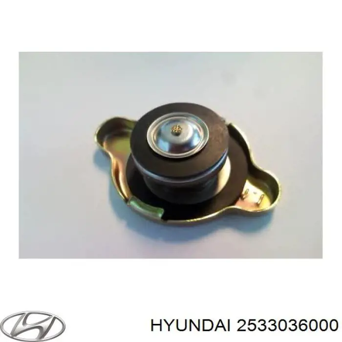 2533036000 Hyundai/Kia tapa de radiador