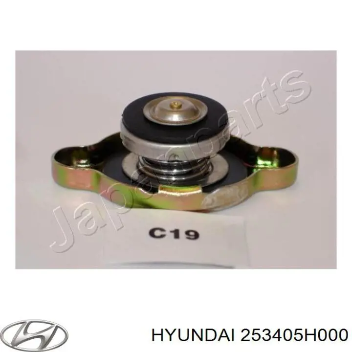 253405H000 Hyundai/Kia tapa de radiador