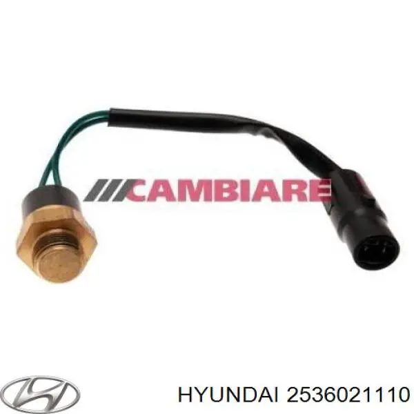 2536021110 Hyundai/Kia sensor, temperatura del refrigerante (encendido el ventilador del radiador)