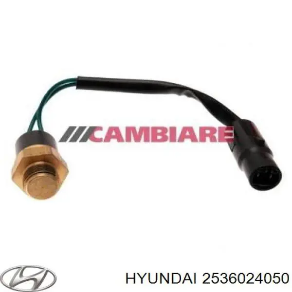 2536024050 Hyundai/Kia sensor, temperatura del refrigerante (encendido el ventilador del radiador)