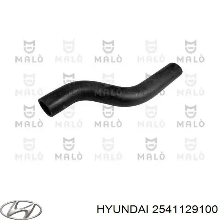 2541129100 Hyundai/Kia tubería de radiador arriba